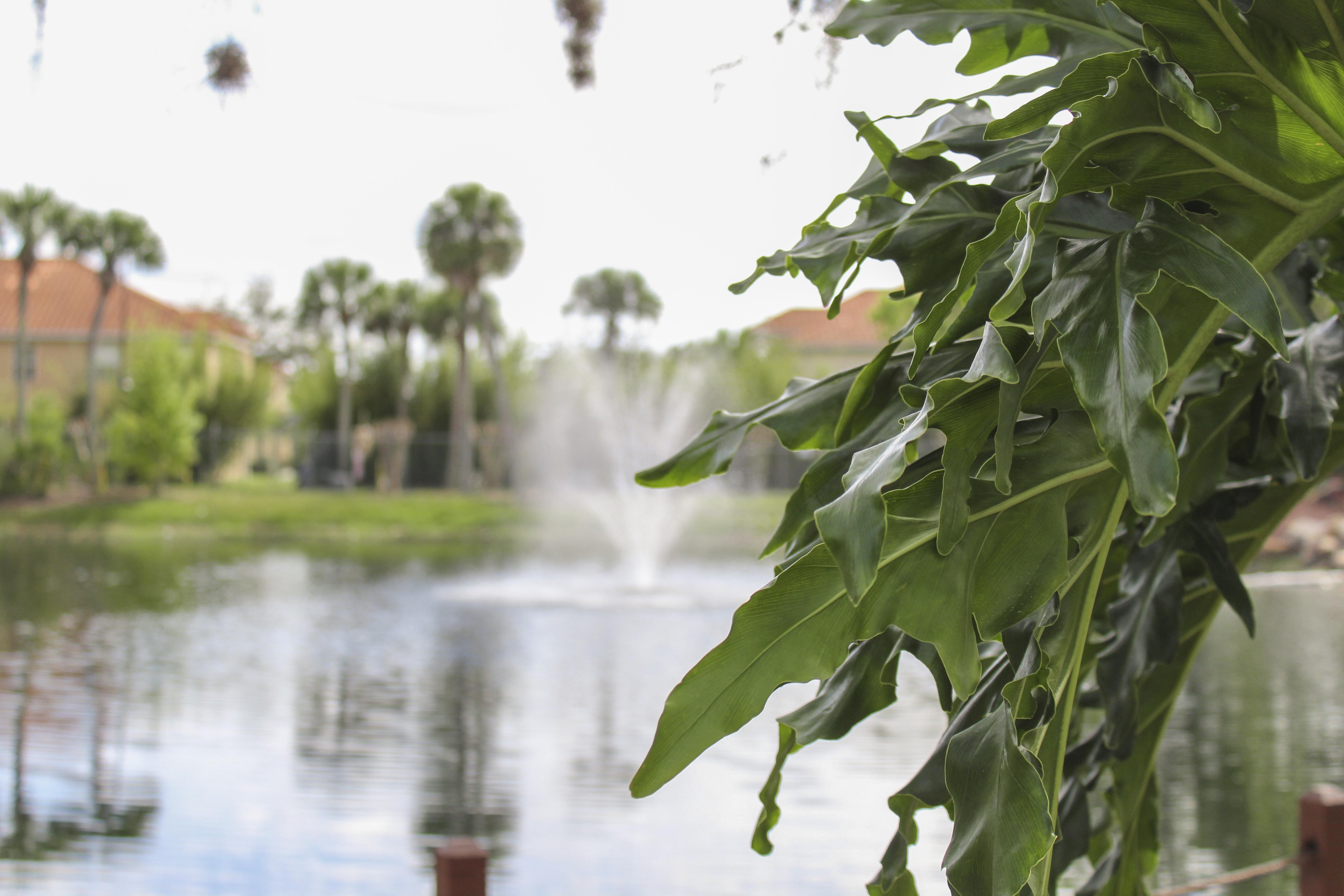 Hilton Vacation Club Polynesian Isles Kissimmee Hotel Exterior foto